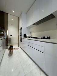Peak Residence (D11), Condominium #595898371